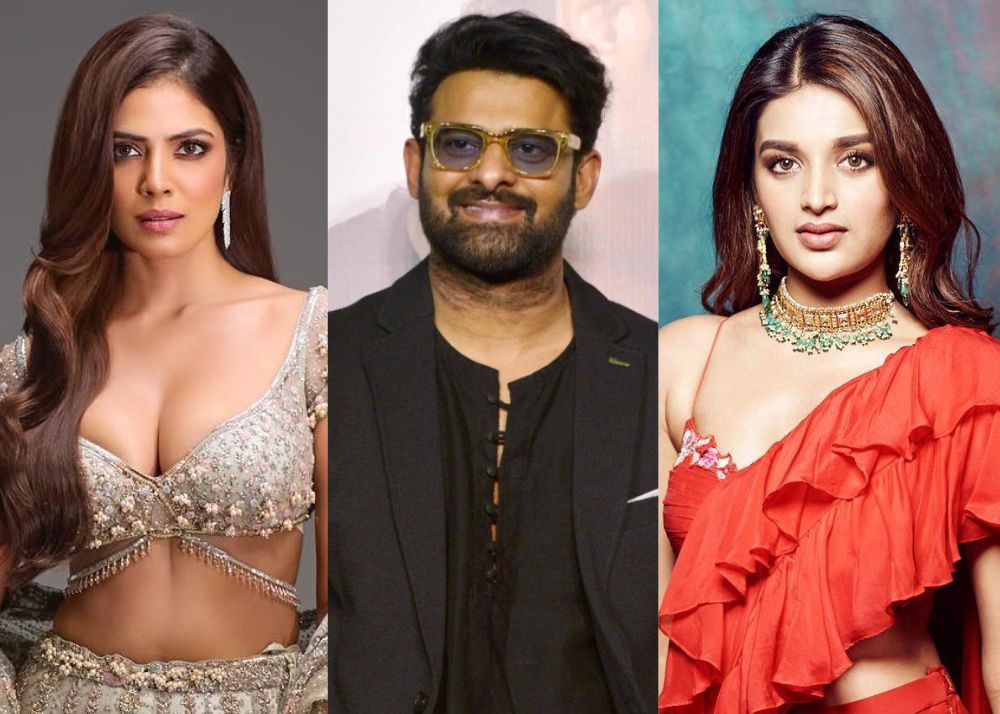 Cast & Crew of Raja Saab